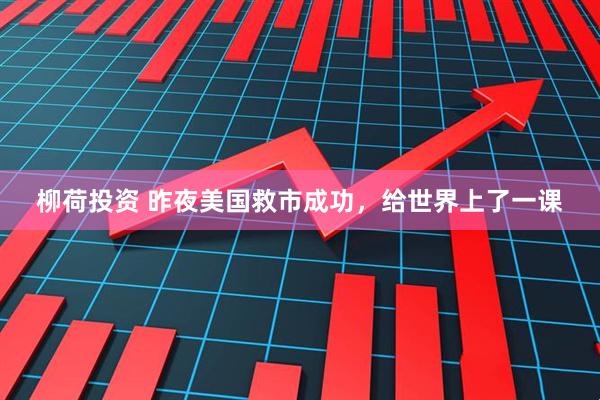 柳荷投资 昨夜美国救市成功，给世界上了一课