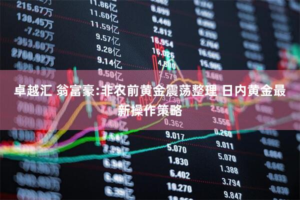 卓越汇 翁富豪:非农前黄金震荡整理 日内黄金最新操作策略