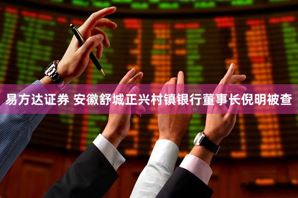 易方达证券 安徽舒城正兴村镇银行董事长倪明被查