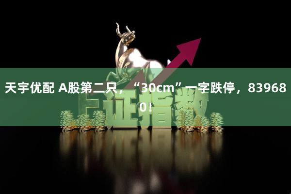 天宇优配 A股第二只，“30cm”一字跌停，839680！