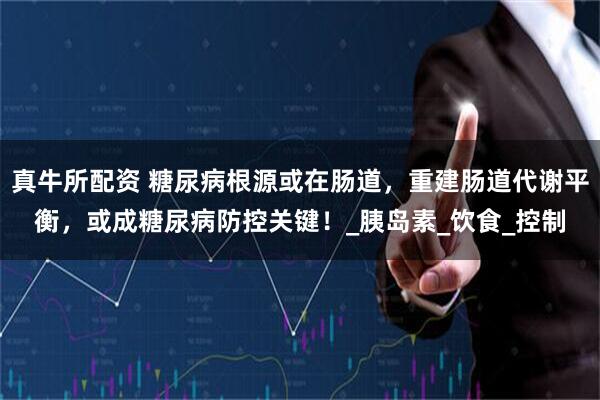 真牛所配资 糖尿病根源或在肠道，重建肠道代谢平衡，或成糖尿病防控关键！_胰岛素_饮食_控制
