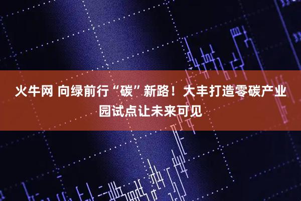 火牛网 向绿前行“碳”新路！大丰打造零碳产业园试点让未来可见