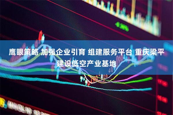 鹰眼策略 加强企业引育 组建服务平台 重庆梁平建设低空产业基地