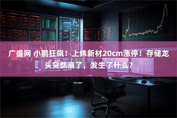 广盛网 小鹏狂飙！上纬新材20cm涨停！存储龙头突然崩了，发生了什么？