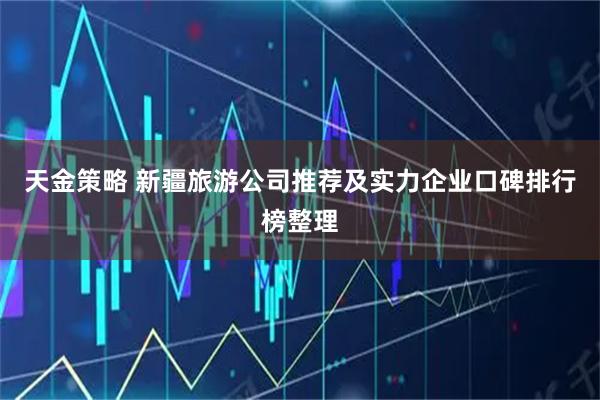 天金策略 新疆旅游公司推荐及实力企业口碑排行榜整理