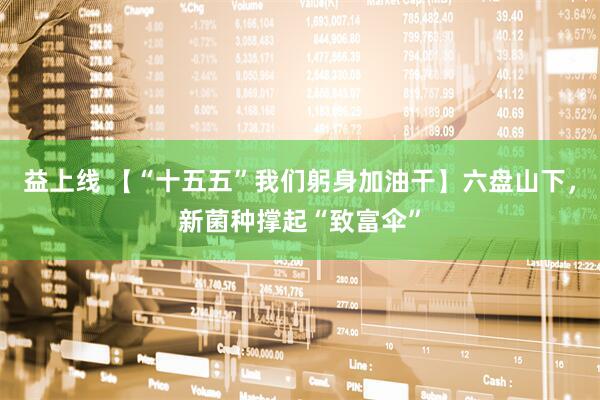 益上线 【“十五五”我们躬身加油干】六盘山下，新菌种撑起“致富伞”